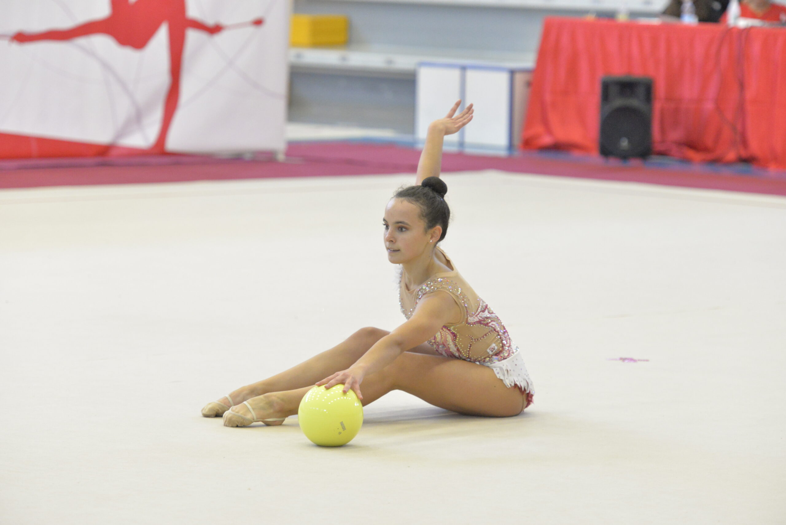 Diffusione in Italia - Ginnastica Ritmica Padova